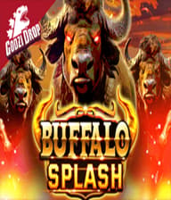 Buffalo Splash