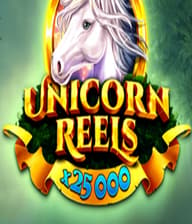 Unicorn Reels Burning Board