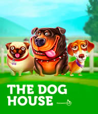 The Dog House
