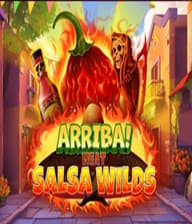 Arriba Heat Salsa Wilds 91
