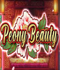 Peony Beauty