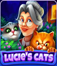 Lucies Cats
