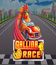 Gallina Race