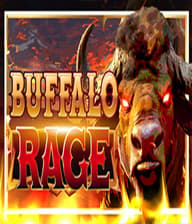 Buffalo Rage