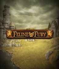 Feline Fury