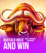 Buffalo Hold and Win
