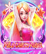 Wild Disco Night