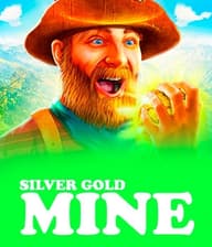 Silver  Gold Mine